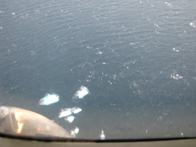 little icebergs