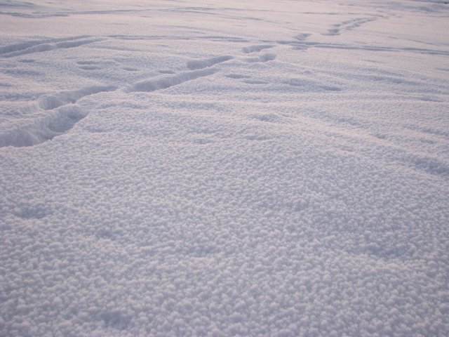 Powder snow